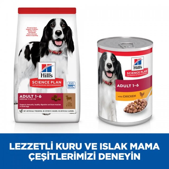 Hill's SCIENCE PLAN Kuzulu ve Pirinçli Orta Irk Yetişkin Köpek Maması 2.5 Kg