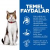 Hill's SCIENCE PLAN Tavuklu +7 Yaşlı Kedi Maması 1.5 Kg