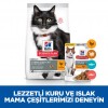 Hill's SCIENCE PLAN Tavuklu Kısırlaştırılmış +7 Yaşlı Kedi Maması 1.5 Kg