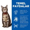 Hills Adult Tavuklu Yetişkin Kedi Maması 1,5kg