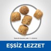 Hill's SCIENCE PLAN Üriner Sağlık Tavuklu +1 Yetişkin Kedi Maması 1.5 Kg