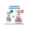 Hills Somonlu Kısırlaştırılmış Yetişkin Kedi Maması 3kg