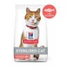 Hills Somonlu Kısırlaştırılmış Kedi Maması 8kg+2kg HEDİYE