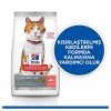 Hills Somonlu Kısırlaştırılmış Kedi Maması 8kg+2kg HEDİYE