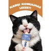 inaba Juicy Bites Balıklı ve İstiridyeli Kedi Ödülü 3x11.3 Gr