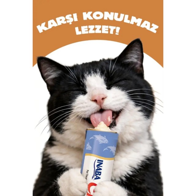 inaba Juicy Bites Balıklı ve İstiridyeli Kedi Ödülü 3x11.3 Gr