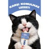 inaba Juicy Bites Tavuklu ve Ton Balıklı Kedi Ödülü 3x11.3 Gr