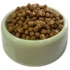 Sokaktaki Can Dostlarımız için Bir Kap Kedi Maması