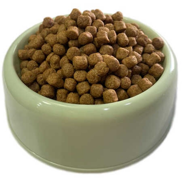 Sokaktaki Can Dostlarımız için Bir Kap Kedi Maması
