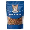 Sokaktaki Can Dostlarımız için Bir Kap Kedi Maması
