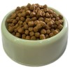 Sokaktaki Can Dostlarımız için Bir Kap Kedi Maması