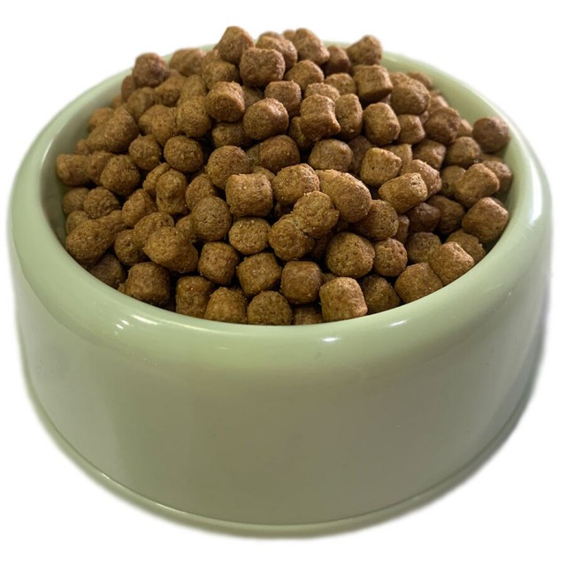 Sokaktaki Can Dostlarımız için Bir Kap Kedi Maması