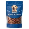 Sokaktaki Can Dostlarımız için Bir Kap Köpek Maması