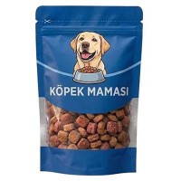 Sokaktaki Can Dostlarımız için Bir Kap Köpek Maması