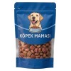 Sokaktaki Can Dostlarımız için Bir Kap Köpek Maması