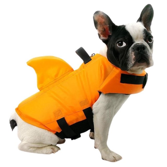 Lion Shark Köpek Can Yeleği L