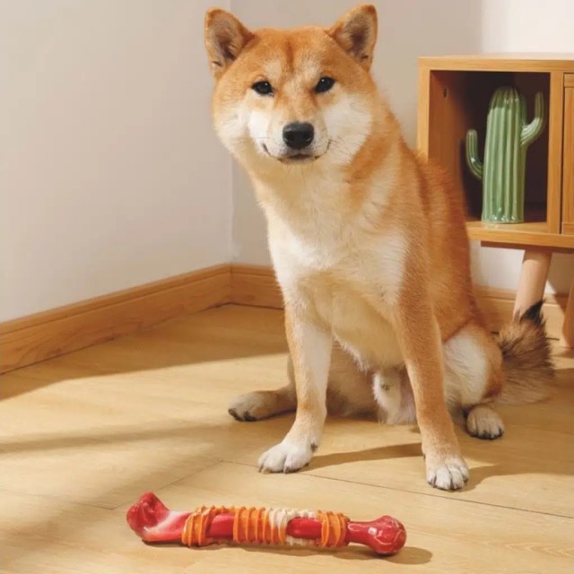 M-PETS Carnivore Dog Toy Boomerang Bone Pastırma Aromalı Köpek Oyuncağı Large