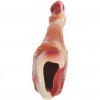 M-PETS Carnivore Dog Toy Drumstick Pastırma Aromalı Köpek Oyuncağı