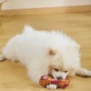 M-PETS Carnivore Dog Toy Meaty Bone Pastırma Aromalı Köpek Oyuncağı Small