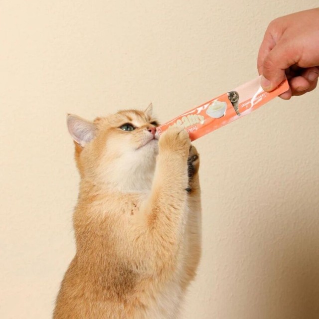M-Pets Creamy Somonlu Krema Kedi Ödül Maması 4x15gr