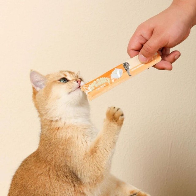 M-Pets Creamy Yengeçli Krema Kedi Ödül Maması 4x15gr