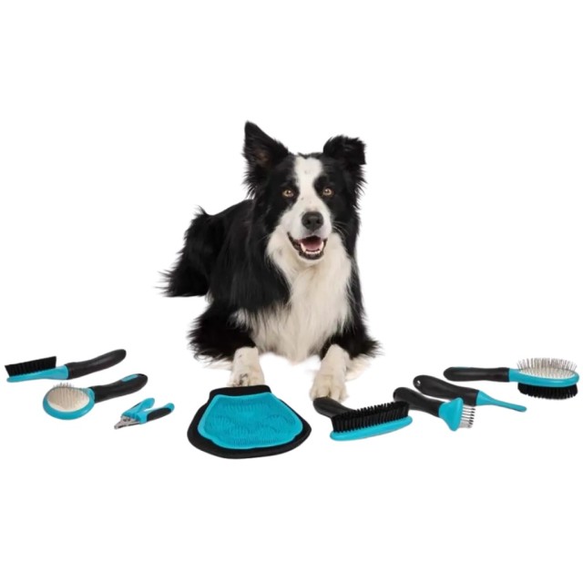 M-Pets Hairdo Oval Slicker Brush Kedi ve Köpekler İçin İnce Telli Oval Fırça Small