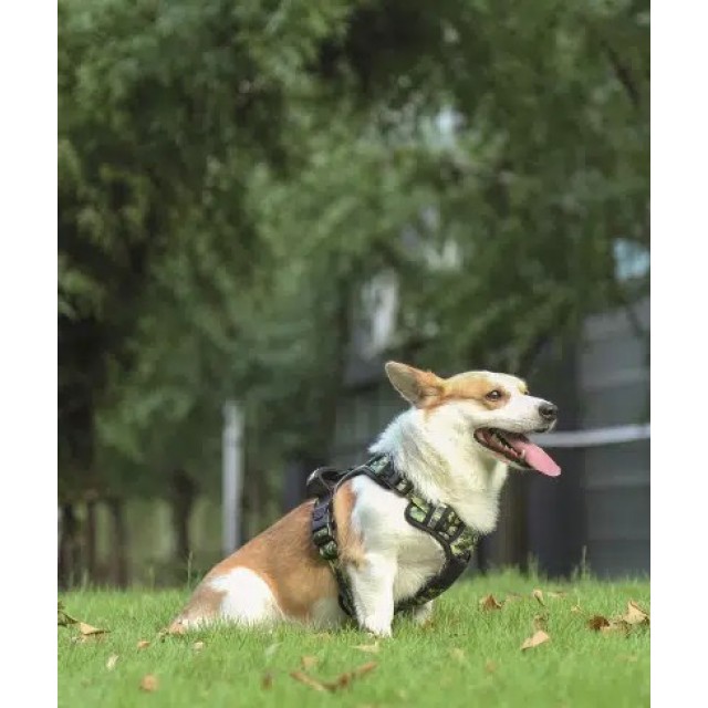 M-PETS HIKING KÖPEK GÖĞÜS TASMASI KAMUFLAF M 10829199