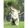 M-PETS HIKING KÖPEK GÖĞÜS TASMASI KAMUFLAF M 10829199