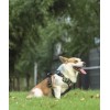 M-PETS HIKING KÖPEK GÖĞÜS TASMASI KAMUFLAF XL 10829399