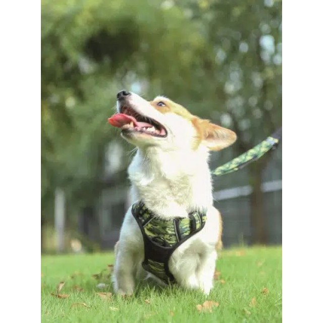 M-PETS HIKING KÖPEK GÖĞÜS TASMASI KAMUFLAF XL 10829399