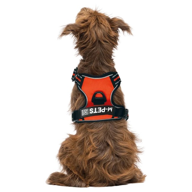 M-PETS HIKING KÖPEK GÖĞÜS TASMASI TURUNCU S 10818099