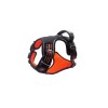 M-PETS HIKING KÖPEK GÖĞÜS TASMASI TURUNCU XL 10822999