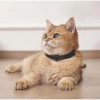 M-Pets Keep Calm Calming Sakinleştirici Kedi Tasması 4 Lü Mix Color