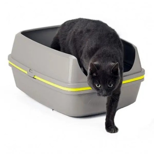 Moderna Elekli Kedi Tuvaleti Jumbo 43x57x27 cm