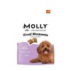 Molly Woof Moments Köpekler İçin Deri ve Tüy Bakımı Destekleyici Ödül Maması 70gr