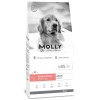 Molly Somonlu Orta ve Büyük Irk Yetişkin Köpek Maması 15kg