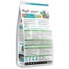 Mystic Somonlu Kısırlaştırılmış Kedi Maması 15 kg