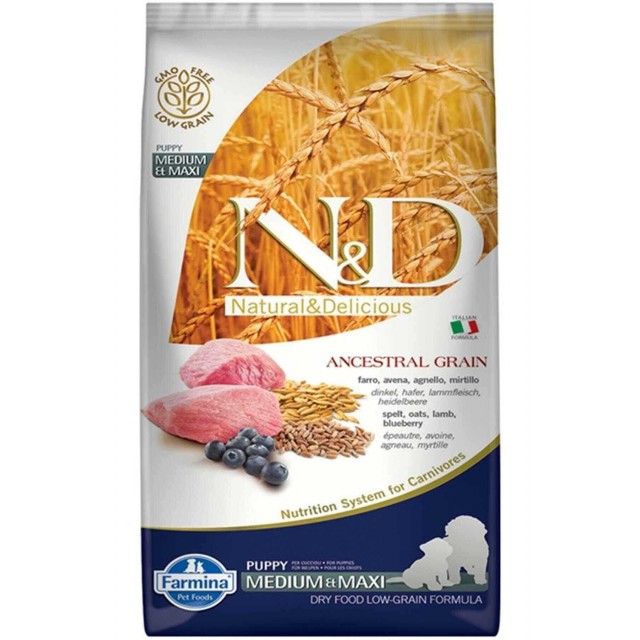 ND Ancestral Grain Düşük Tahıllı Kuzu Eti ve Yaban Mersinli Orta ve Büyük Irk Yavru Köpek Maması 12kg
