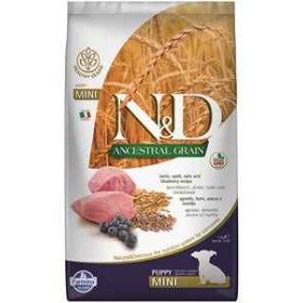 ND Ancestral Grain Tahıllı Kuzu Eti ve Yaban Mersinli Küçük Irk Yavru Köpek Maması 2,5kg