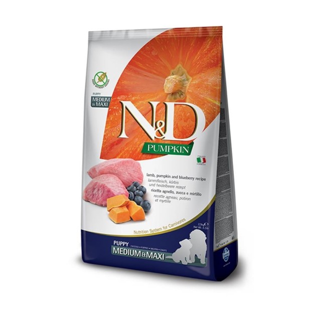 N&D Tahılsız Kuzu-Balkabak ve Yaban Mersinli Orta ve Büyük Irk Yavru Köpek Maması 12 kg