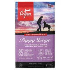Orijen Puppy Large Tahılsız Büyük Irk Yavru Köpek Maması 6kg