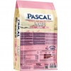 Pascal Puppy Kuzu Etli Yavru Köpek Maması 15 Kg