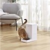 Pawgether F100S Kedi ve Köpekler İçin Wifi Versiyon Otomatik Mama Kabı 5.5 Litre