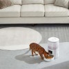 Pawgether F2S Kedi ve Köpekler İçin Wifi Versiyon Otomatik Mama Kabı 4 Litre