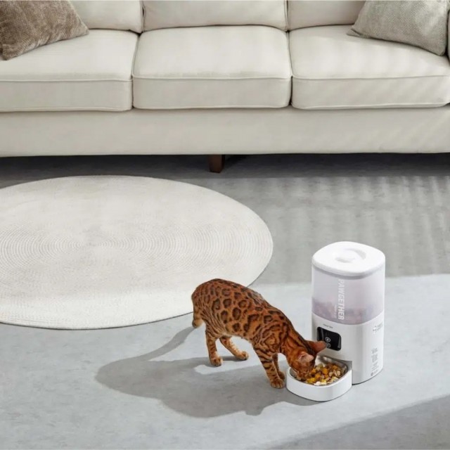 Pawgether F2S Kedi ve Köpekler İçin Wifi Versiyon Otomatik Mama Kabı 4 Litre
