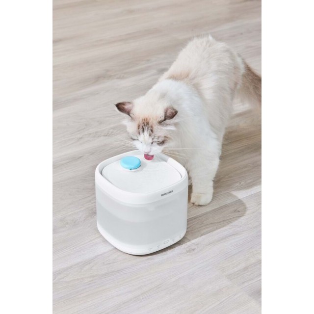 Pawgether Pure 3S Otomatik Su Sebili 2lt