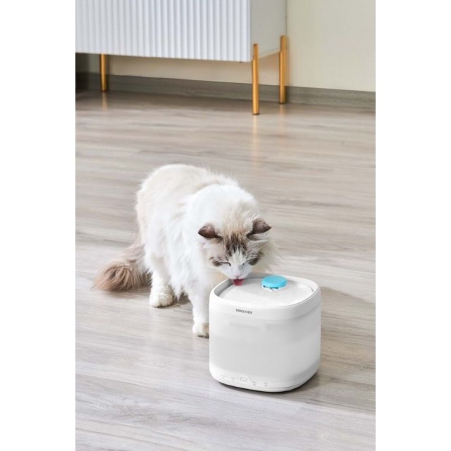 Pawgether Pure 3S Otomatik Su Sebili 2lt