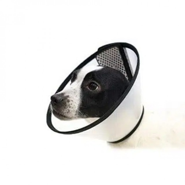 Pawise Köpek Ameliyat Yakalığı M 33-36/13 Cm