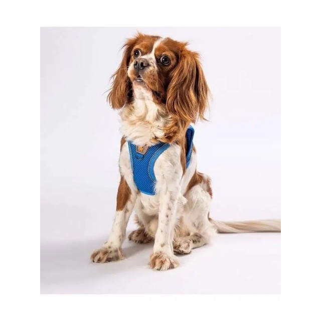 Pawstar Air Mesh Göğüs Tasması XL Mavi