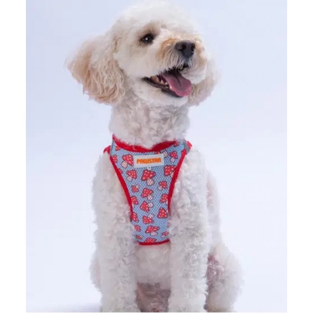 Pawstar Air Mesh Göğüs Tasması XS Mushroom